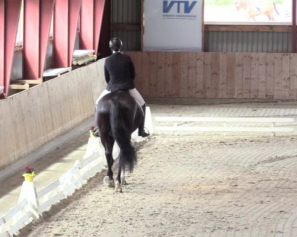 Reitturnier Süderlügum 2020
