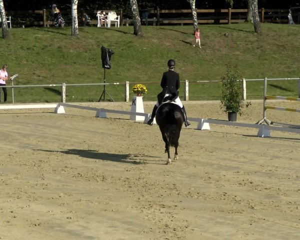Reitturnier Reilingen 2021