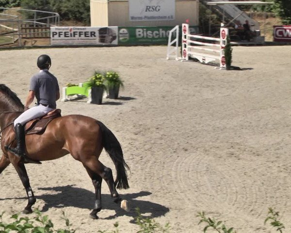 Reitturnier Worms-Pfeddersheim / Reitsportanlage Wittemer 2020