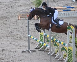 jumper Legolas O (Westphalian, 2003, from Larius W)