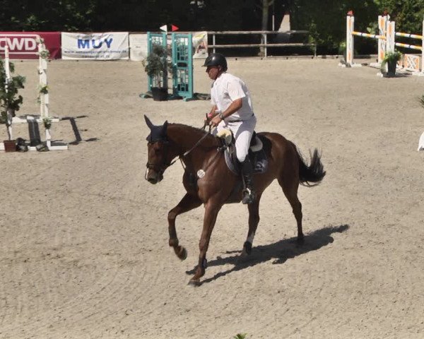 Reitturnier Worms-Pfeddersheim / Reitsportanlage Wittemer 2020