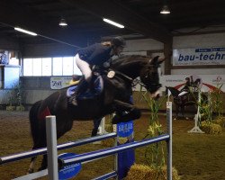 Springpferd Nice Girl 18 (Hannoveraner, 2009, von Now Or Never M)