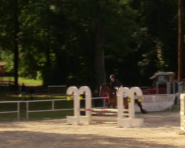 Reitturnier Prussendorf 2020