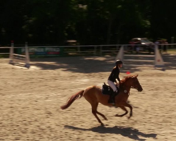 Reitturnier Prussendorf 2020