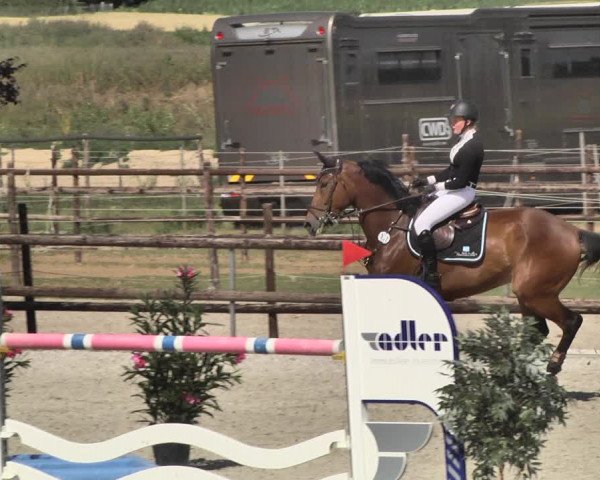 Reitturnier Worms-Pfeddersheim / Reitsportanlage Wittemer 2020