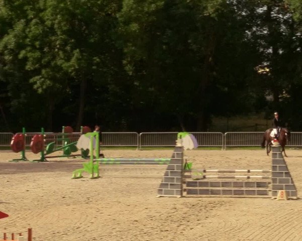 Reitturnier Prussendorf 2020