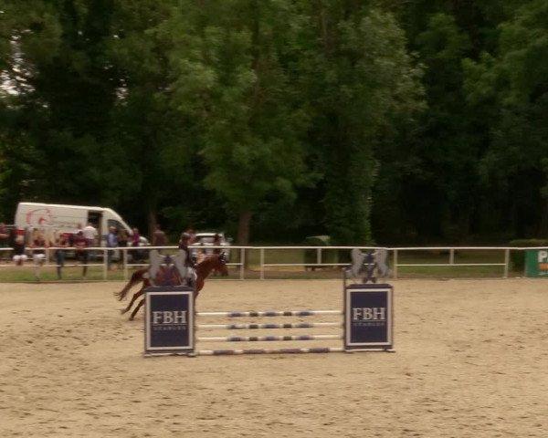 Reitturnier Prussendorf 2020