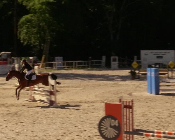 Reitturnier Prussendorf 2020