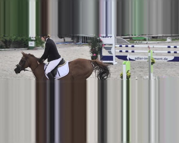 Reitturnier Worms-Pfeddersheim / Reitsportanlage Wittemer 2020