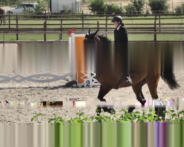 Reitturnier Worms-Pfeddersheim / Reitsportanlage Wittemer 2020