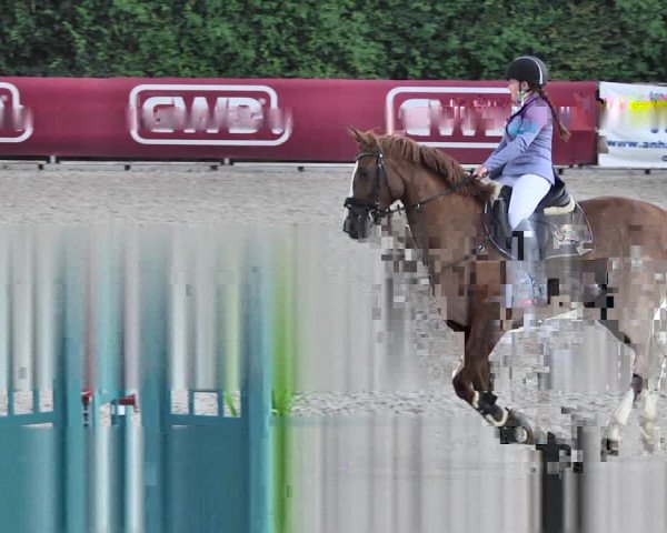 Reitturnier Worms-Pfeddersheim / Reitsportanlage Wittemer 2020