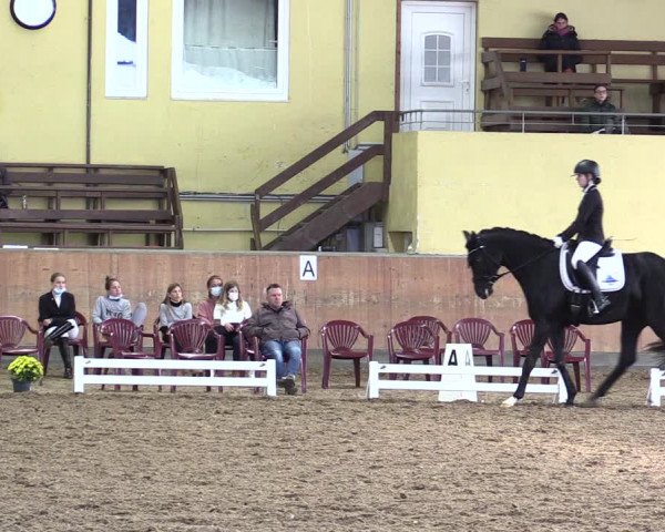 Reitturnier Frechen-Grefrath - Sonnenhof 2021