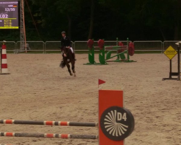 Reitturnier Prussendorf 2020