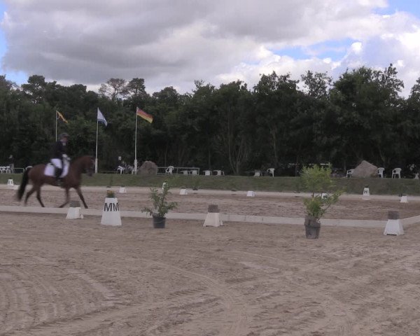 Reitturnier Pietzpuhl 2020
