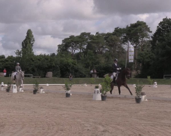 Reitturnier Pietzpuhl 2020
