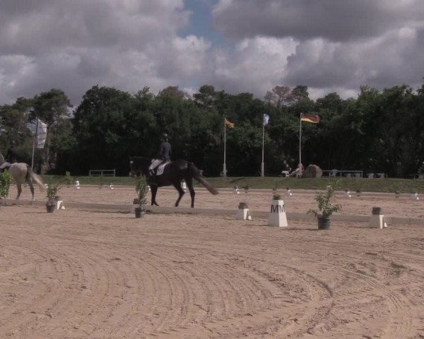 Reitturnier Pietzpuhl 2020