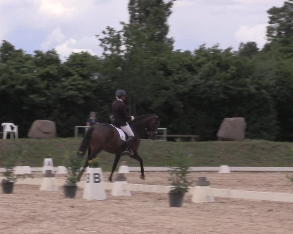 Reitturnier Pietzpuhl 2020