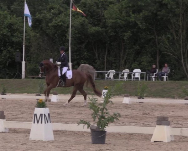Reitturnier Pietzpuhl 2020