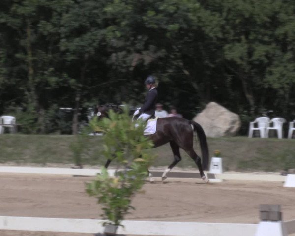 Reitturnier Pietzpuhl 2020