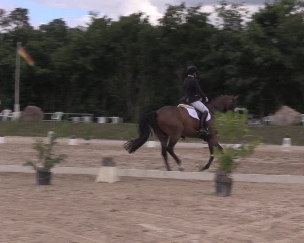 Reitturnier Pietzpuhl 2020