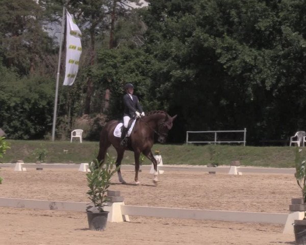 Reitturnier Pietzpuhl 2020