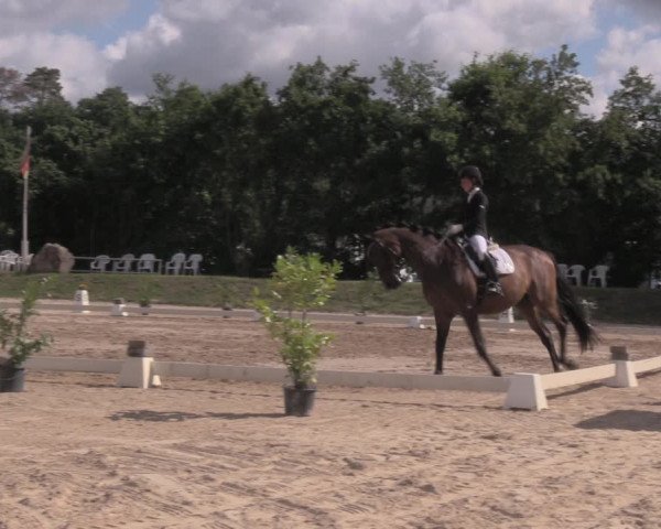 Reitturnier Pietzpuhl 2020