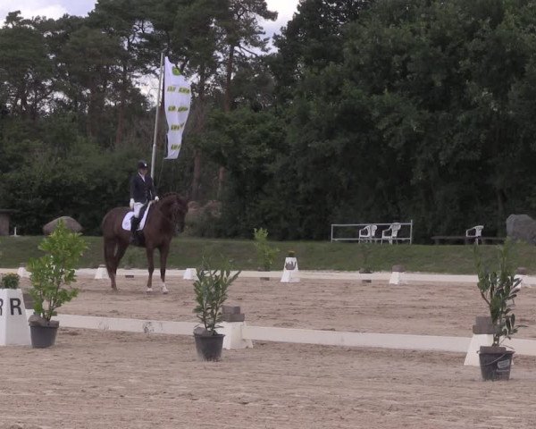 Reitturnier Pietzpuhl 2020
