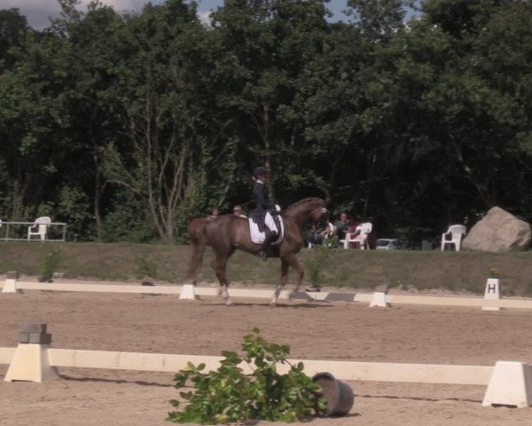 Reitturnier Pietzpuhl 2020