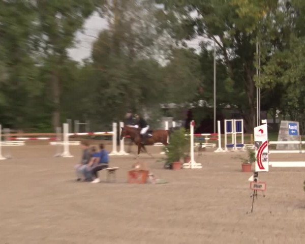 Reitturnier Kleinostheim/Ufr. 2020