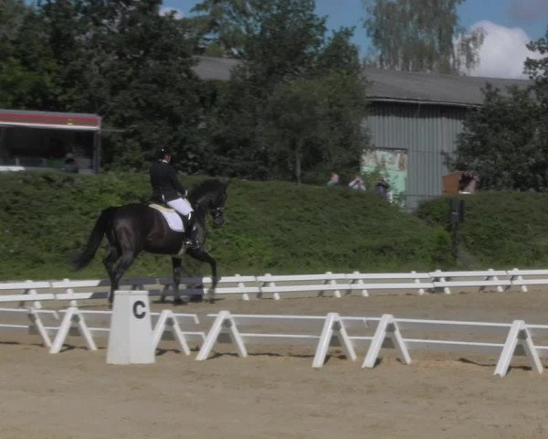 Reitturnier Pietzpuhl 2020