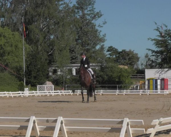 Reitturnier Pietzpuhl 2020