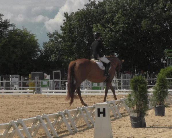 Reitturnier Pietzpuhl 2020
