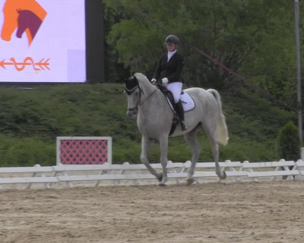 Reitturnier Pietzpuhl 2020