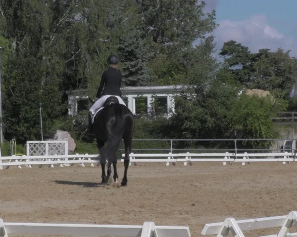 Reitturnier Pietzpuhl 2020