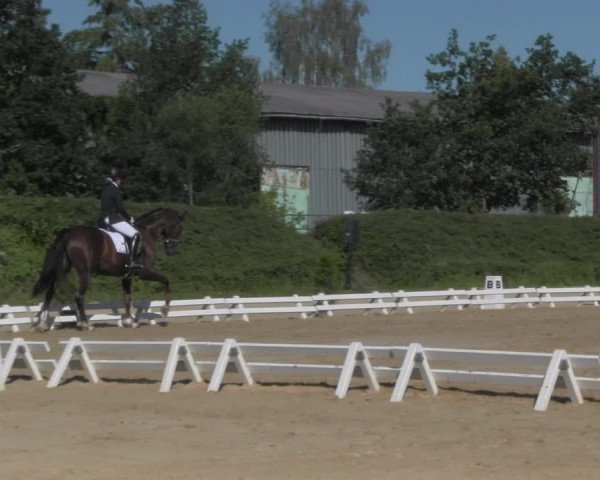 Reitturnier Pietzpuhl 2020