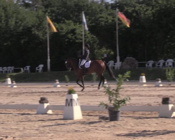 Reitturnier Pietzpuhl 2020