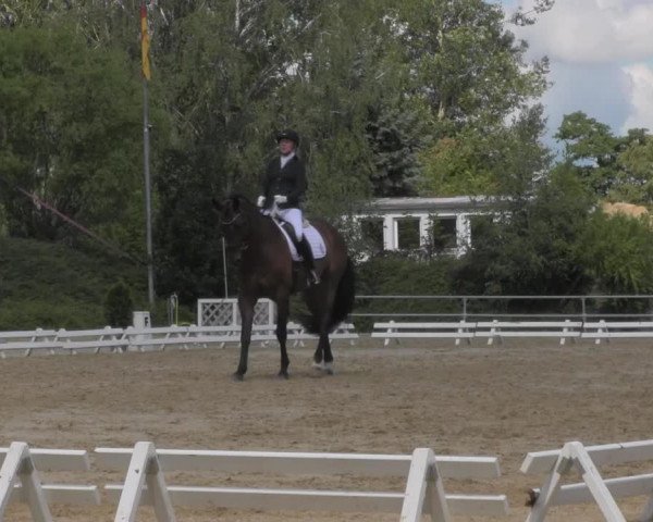 Reitturnier Pietzpuhl 2020