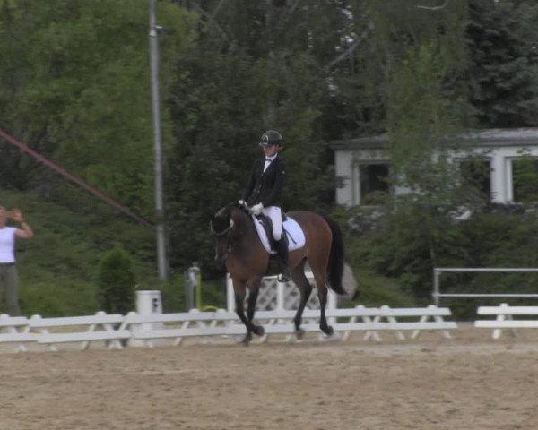Reitturnier Pietzpuhl 2020