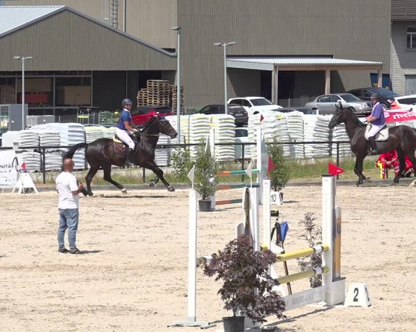 Reitturnier Gossau 2020