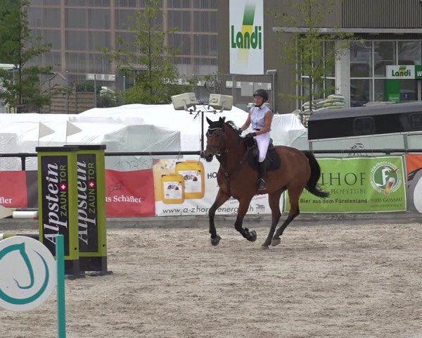 Reitturnier Gossau 2020