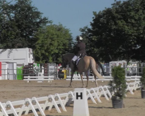 Reitturnier Pietzpuhl 2020