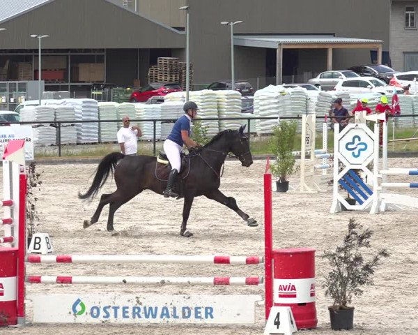 Reitturnier Gossau 2020