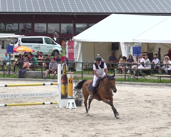 Reitturnier Gossau 2020