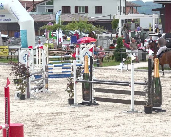 Reitturnier Gossau 2020
