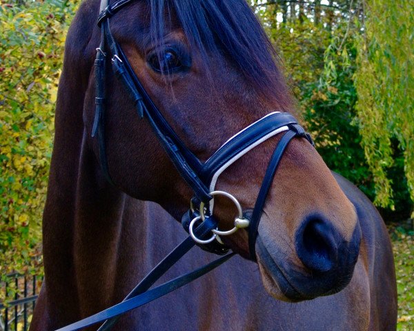 Pferd Rubina Fleur (Westfale, 2010, von Rubitano)