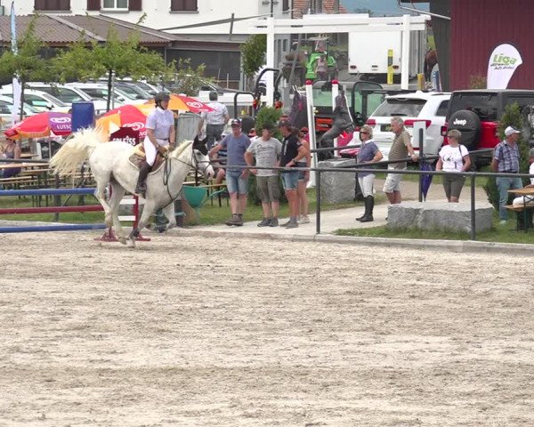 Reitturnier Gossau 2020