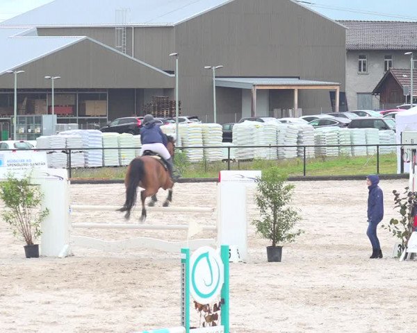 Reitturnier Gossau 2020