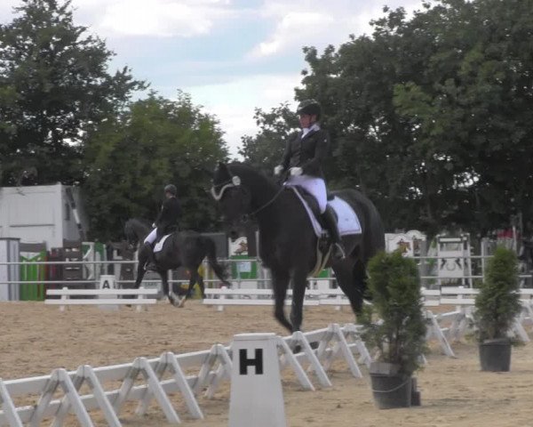 Reitturnier Pietzpuhl 2020