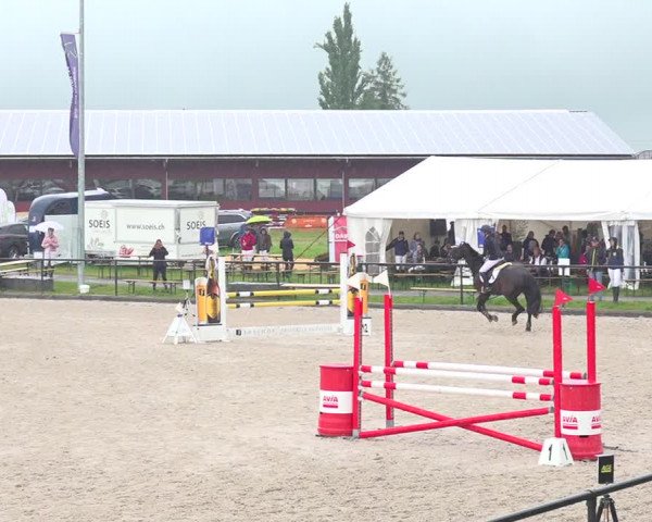 Reitturnier Gossau 2020