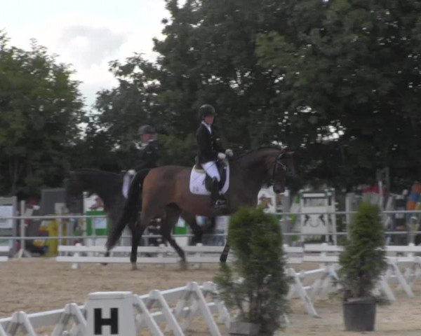 Reitturnier Pietzpuhl 2020